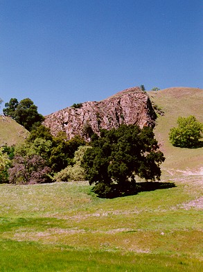 Sunol