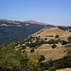Sunol