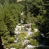 A small stream
