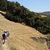 Downhill