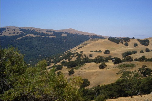 Sunol