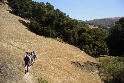 Downhill