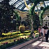 The Bellagio Conservatory