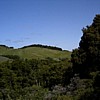 Windy Hill