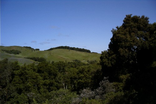 Windy Hill