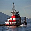 Tug boat