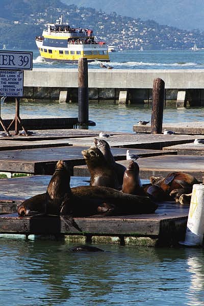Seals