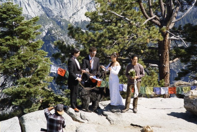Wedding